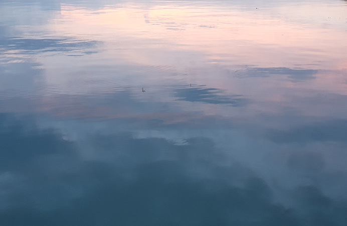 peerberatung peerberatung